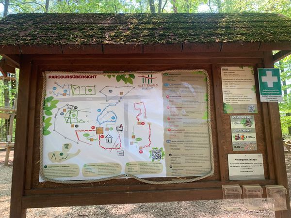 Abenteuer hoch in den Bäumen