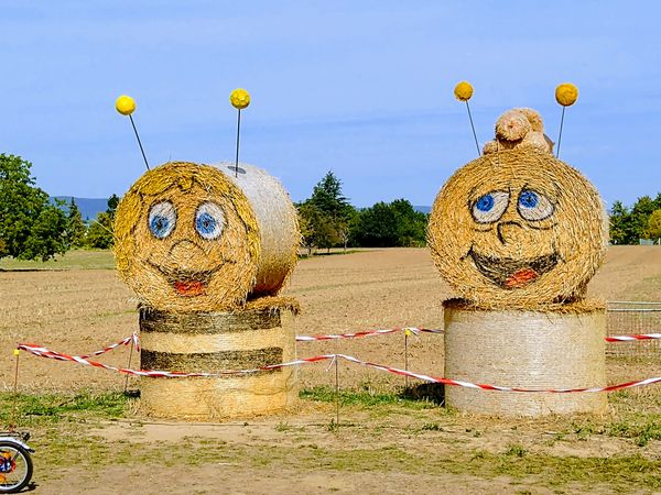 Irrwege und Spaß im Maisfeld