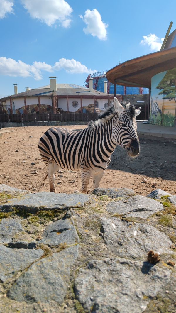 Tierisches Vergnügen für Jung und Alt