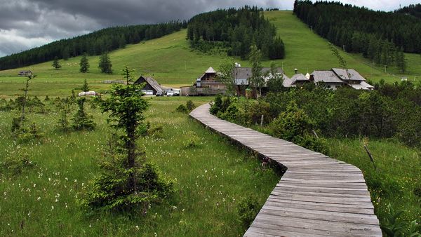 Familienabenteuer im Almenland