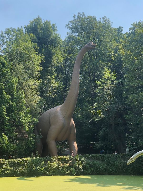Jurassic Park Feeling