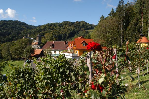 Kulinarischer Hochgenuss und historischer Ausblick vereint
