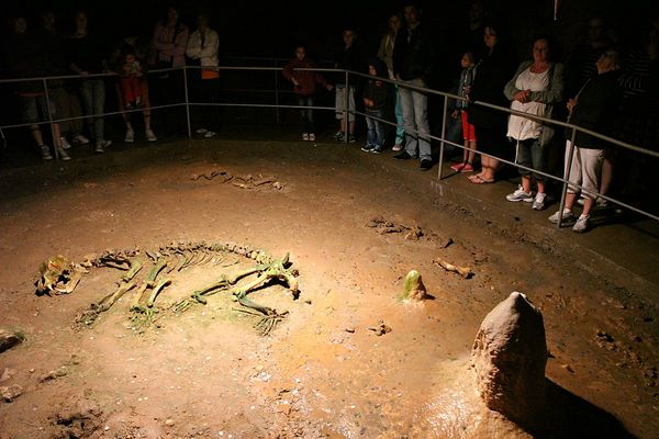 Entdecke die geheimnisvolle Bärenhöhle