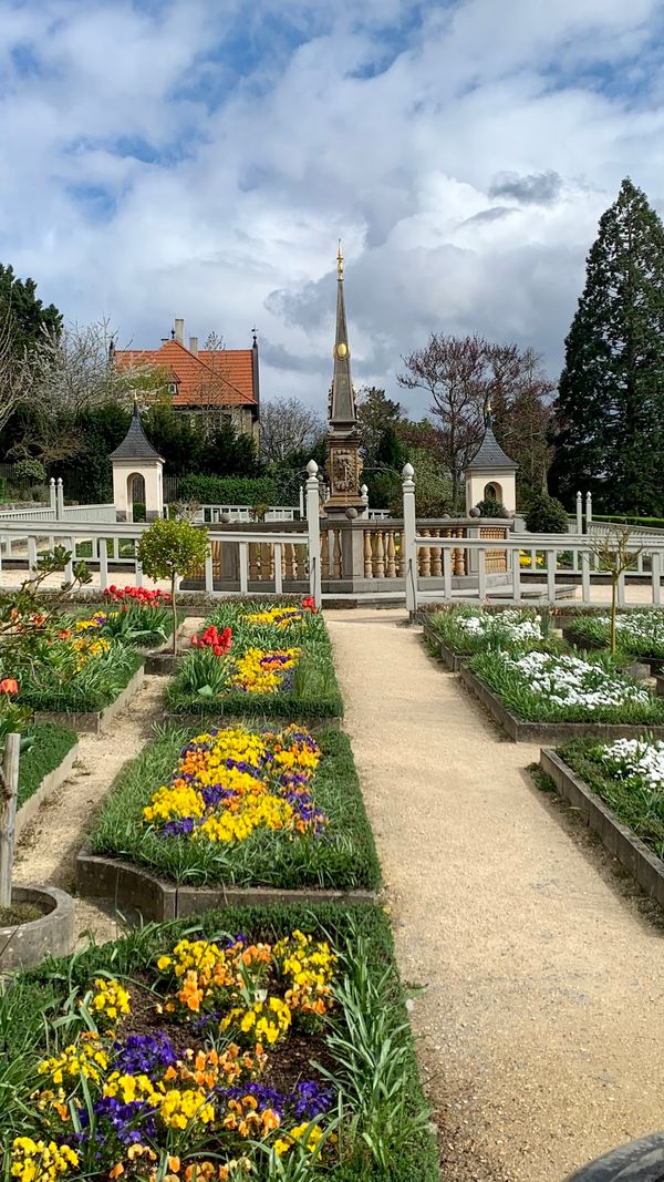 Historische Gartenkunst im Pomeranzengarten entdecken
