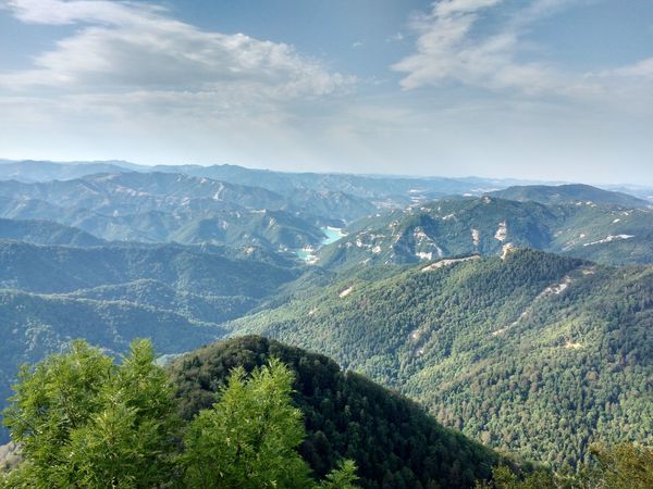 Durch Europas schöne Wälder wandern