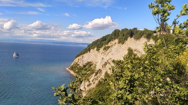 Natur pur an der Küste