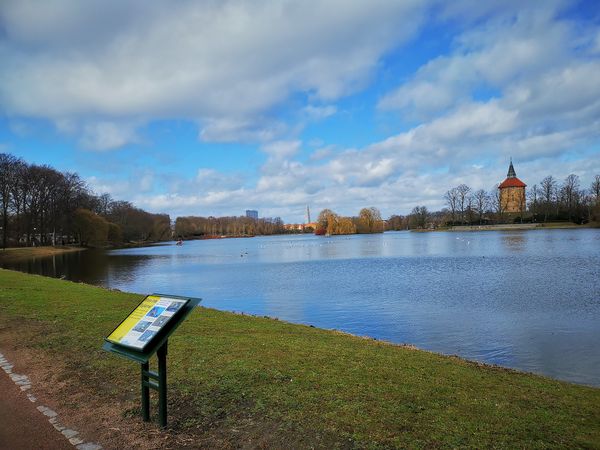 Grüne Oase in der Stadt