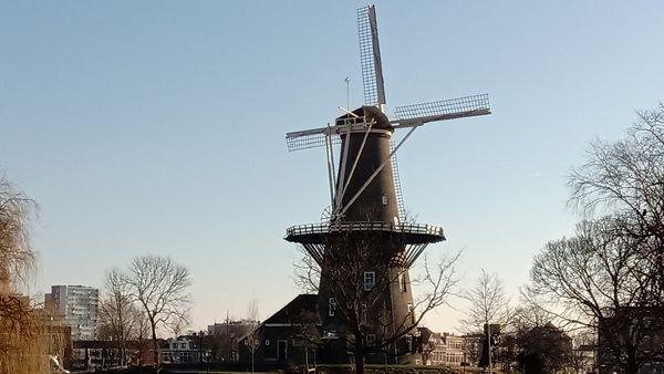 Einblick in die Mühlen-Geschichte Hollands