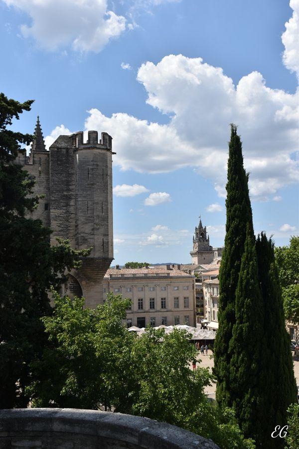 Fotogene Momente am Palais des Papes