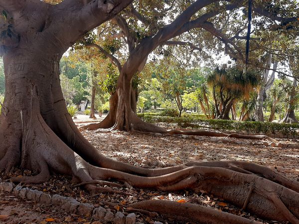 Picknick im historischen Park