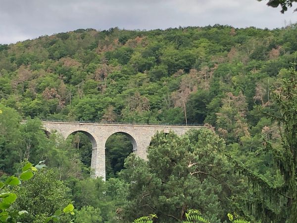 Wandern entlang der Sázava