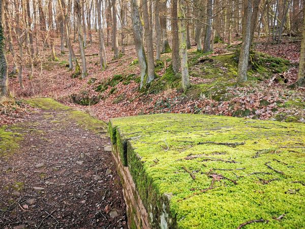 Historische Einblicke in das römische Erbe Pulheims