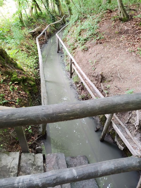 Naturerlebnis für alle Sinne