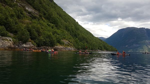 Mit dem Rib Boat die Fjorde erkunden