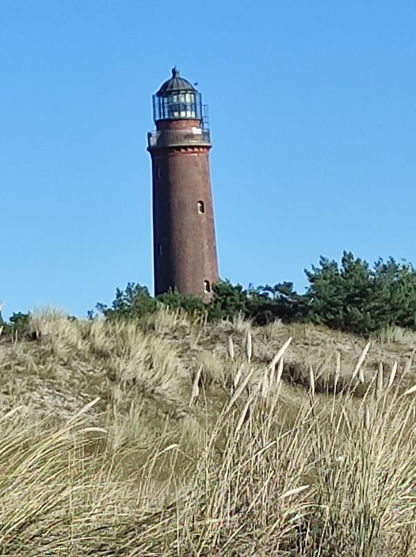 Einzigartige Naturerlebnisse an der Ostsee