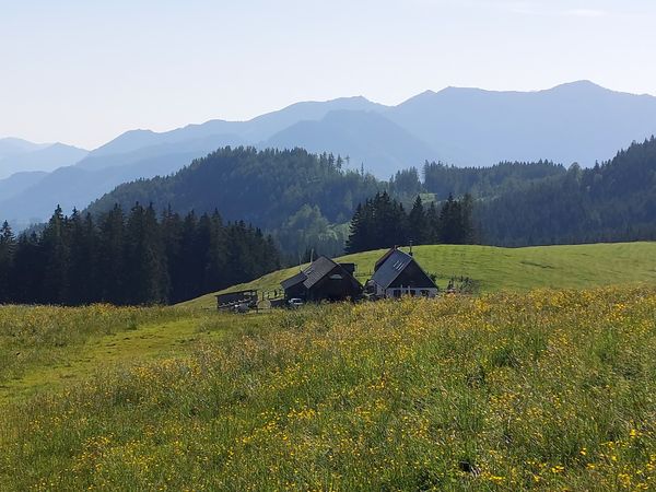 Entdeckungsreise in die größte Waldwildnis Österreichs