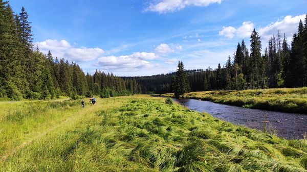 Wandern im grünen Herz Europas