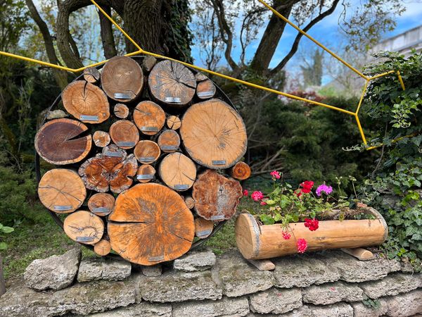 Entspannung pur im botanischen Garten