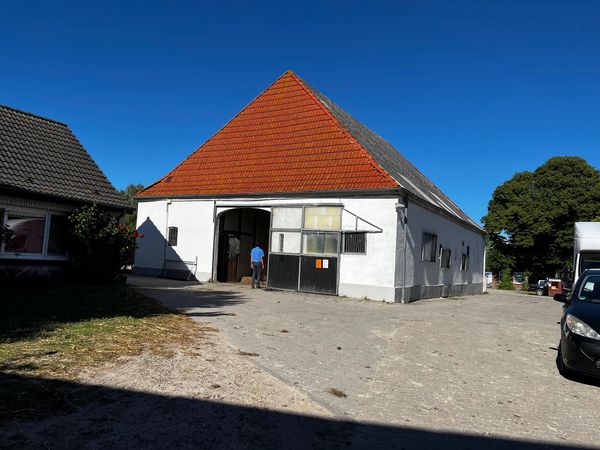 Reitabenteuer in idyllischer Natur