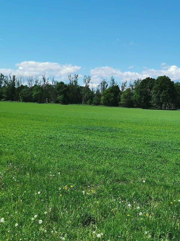 Entdecke die Moore Hannovers per Rad