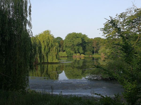 Perfekter Ort für romantische Fotomotive