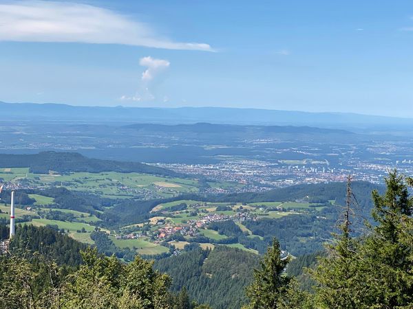 Schwebe zum Gipfel des Freiburger Hausbergs