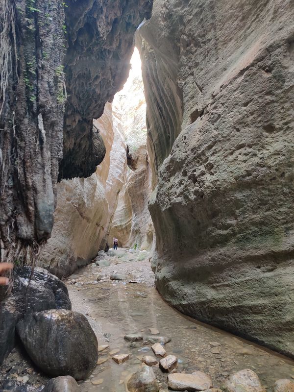 Abenteuer in wilder Natur