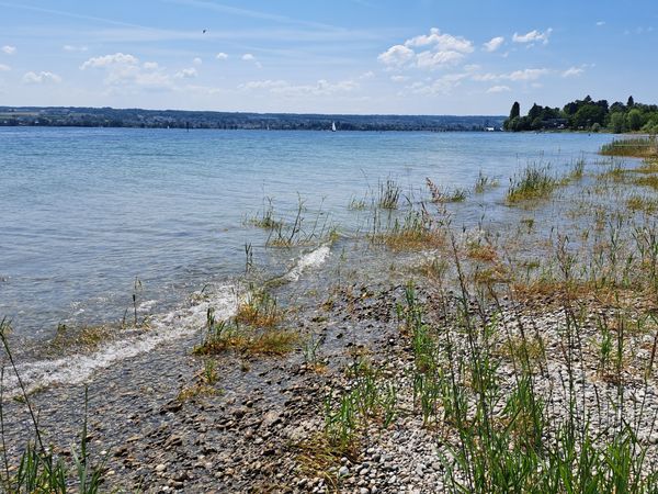 Perfekte Erfrischung am Bodensee