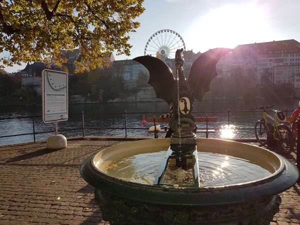 Sonnenuntergang am Rhein