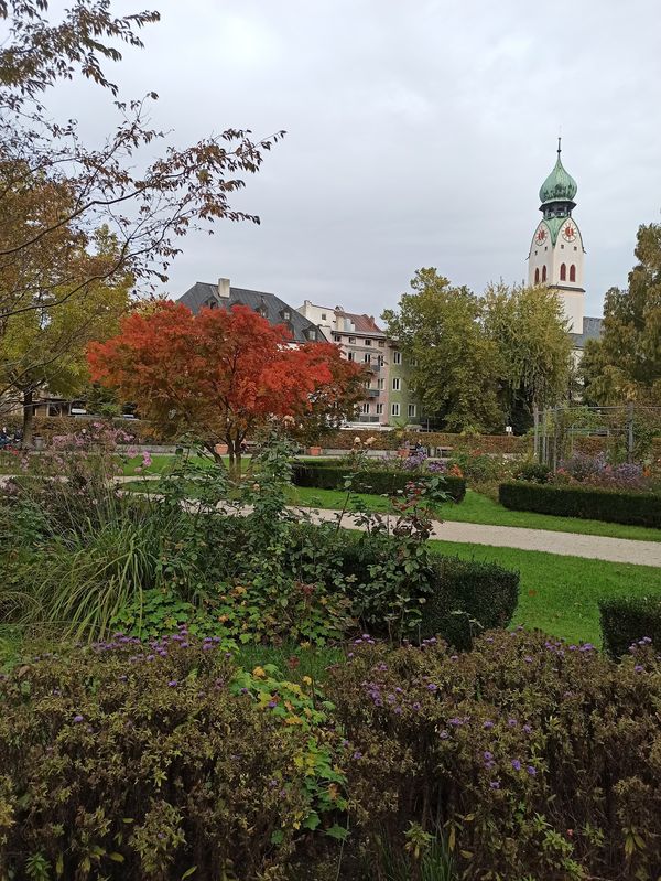 Blumenpracht im Stadtzentrum