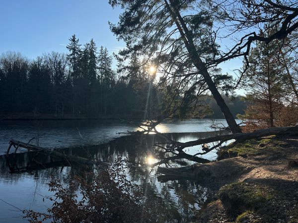 Idyllische Ruhe am Stuttgarter Gewässer