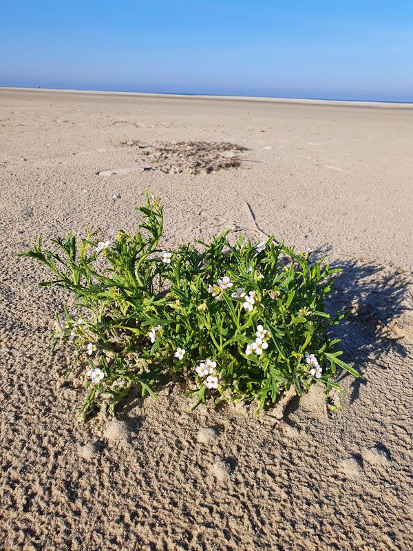 Einzigartiges UNESCO-Weltnaturerbe entdecken