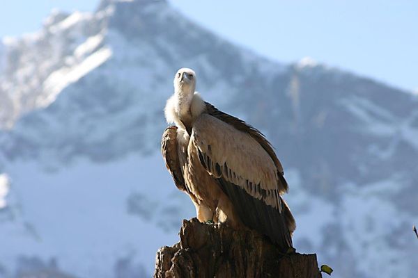 Tierisches Vergnügen für die ganze Familie