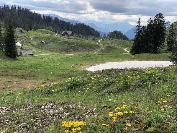 Einzigartiges Wildnisgebiet erkunden