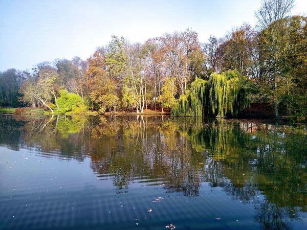 Perfekter Ort für ein Familienpicknick