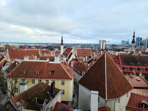 Panoramablick über Tallinn