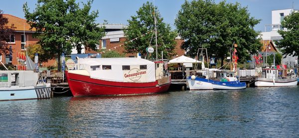 Fischgenuss direkt vom Kutter
