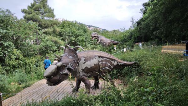 Abenteuerpark für die ganze Familie