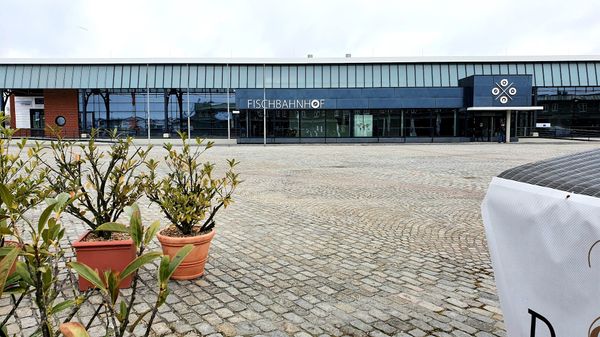 Kulinarische Reise durch den Fischereihafen