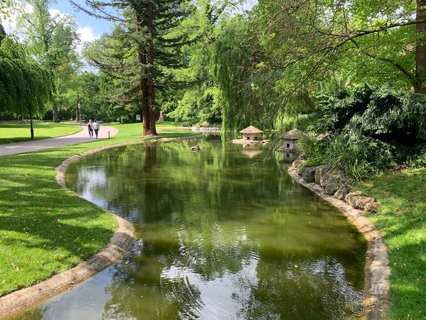 Spaziere durch mediterranes Flair mitten in Würzburg