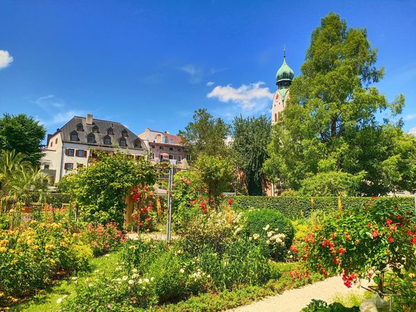 Blumenpracht im Stadtzentrum