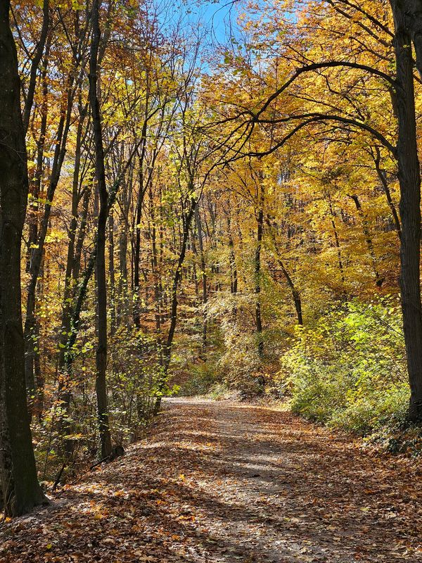 Entdecke die atemberaubende Natur in Mödling