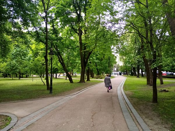 Grüne Oase in der Stadtmitte