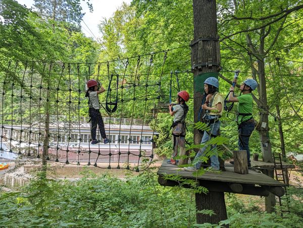 Kletterabenteuer im Wald