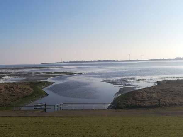 Naturschutzgebiet mit reicher Vogelwelt