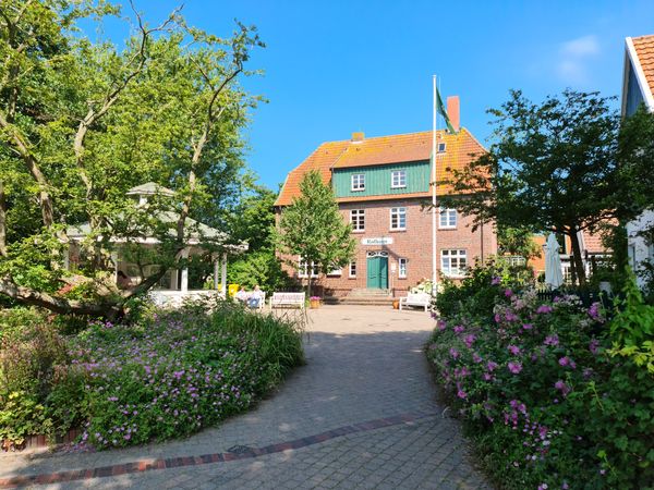 Ostfriesische Teekultur erleben