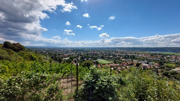 Himmelsbeobachtung an den Fernrohren