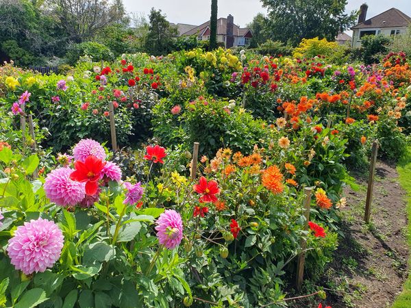 Verstecktes Gartenparadies in Woolton