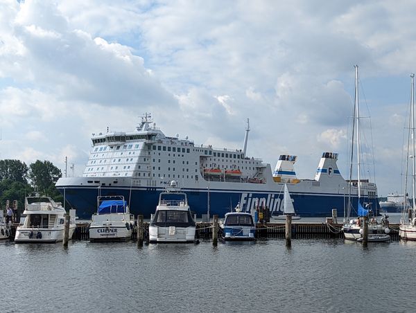 Frischer Fisch direkt vom Kutter