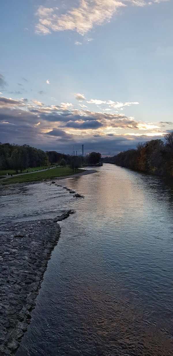 Natur pur entlang der Isar